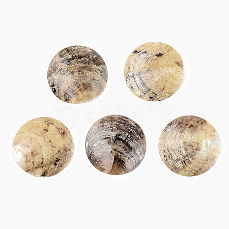 Mother of Pearl Buttons X-SSHEL-R048-021-1