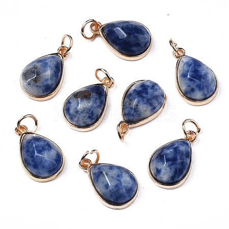 Natural Blue Spot Jasper Pendants G-S359-364A-1