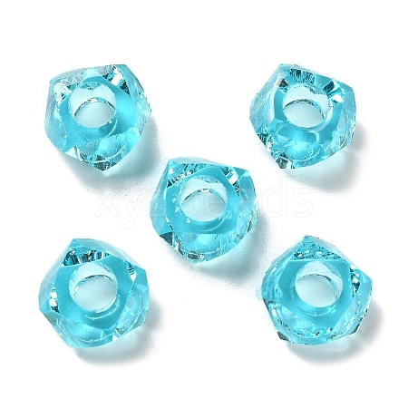 Transparent Resin European Beads RESI-B020-01E-1