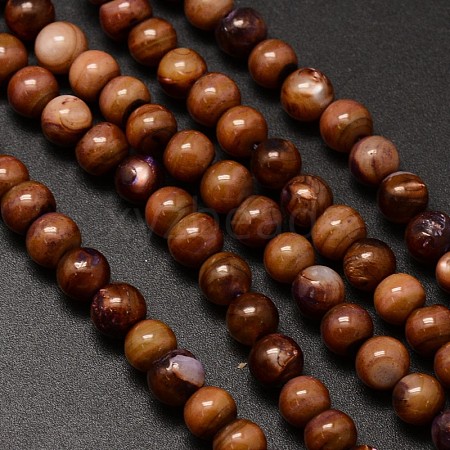 Natural Freshwater Shell Round Bead Strands SHEL-M012-03-1