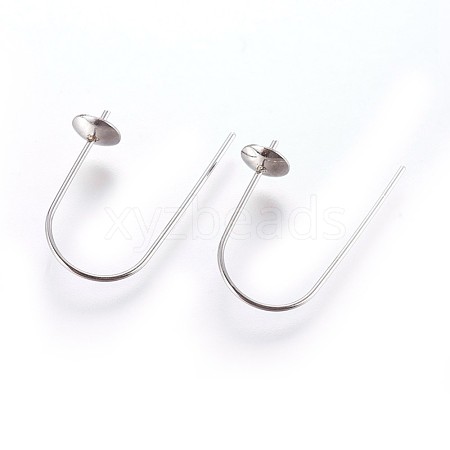 304 Stainless Steel Earring Hooks STAS-P237-13P-1