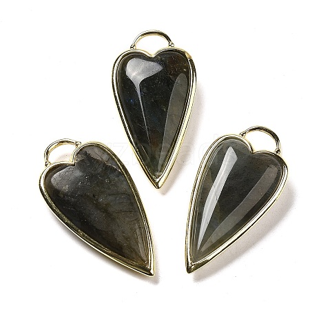 Natural Labradorite Pendants G-K347-01G-04-1