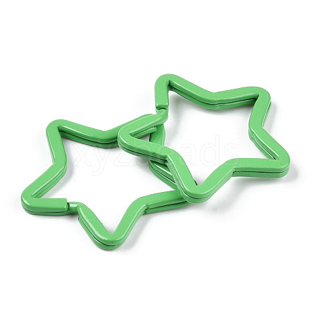 Spray-painted Iron Keychains Clasps IFIN-WH0063-14D-1