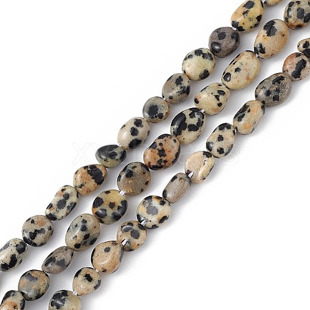 Natural Dalmatian Jasper Beads Strands G-B039-03B-1