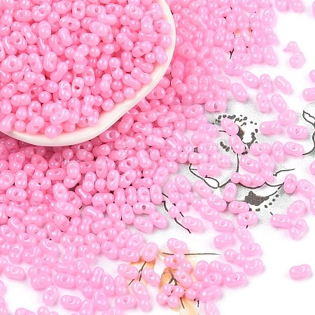 Baking Paint Glass Seed Beads SEED-L011-09A-27-1