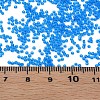 15/0 Transparent Czech Glass Seed Beads SEED-N004-004-06-6