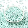 6/0 Glass Seed Beads X1-SEED-L011-08A-14-2
