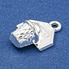 Alloy Pendants FIND-Z055-03S-2