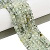 Natural Prehnite Beads Strands G-H042-A46-03-2