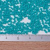 MIYUKI Delica Beads X-SEED-J020-DB0793-4
