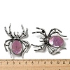 Dual-use Items Alloy Pave Dyed Shell Spider Brooch JEWB-C026-04D-AS-3