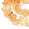 Natural Citrine(Heated) Beads Strands G-K400-A01-8x10-3