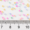 13/0 Glass Seed Beads SEED-T005-04-2