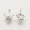 925 Sterling Silver Charms STER-K029-12MS-1