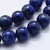 Natural Lapis Lazuli Beads Strands G-E465-8mm-01-3