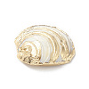 Natural Sea Shell Pendants X-SHEL-F005-06LG-4