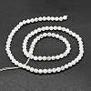 Natural Rainbow Moonstone Beads Strands G-E569-A06-2