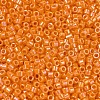 MIYUKI Delica Beads SEED-JP0008-DB1573-3