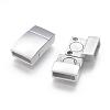 Tarnish Resistant 304 Stainless Steel Magnetic Clasps with Glue-in Ends STAS-G143-75P-3