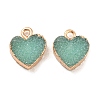 Resin with Golden Zinc Alloy Charms RESI-CJC0009-04D-1