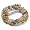 Natural Labradorite Beads Strands G-G161-A09-03-3