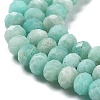 Natural Amazonite Beads Strands G-J400-C04-06-4