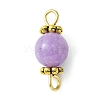 Natural Mixed Gemstone Connector Charms PALLOY-JF02221-2