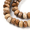 Natural Picture Jasper Beads Strands G-T141-34-3