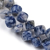 Natural Blue Spot Jasper Beads Strands G-A257-A15-01-4