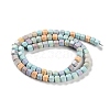 Natural Rainbow Alashan Agate Beads Strands G-NH0022-J01-01-3