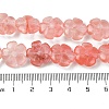 Cherry Quartz Glass Beads Strands G-H023-B10-01-5
