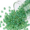 TOHO Round Seed Beads X-SEED-TR08-0187-1