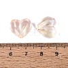 Baking Paint Transparent Glass Beads DGLA-N022-02G-4