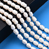 Natural Cultured Freshwater Pearl Beads Strands PEAR-N012-05J-2