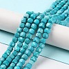 Natural Howlite Beads Strands G-G001-B01-01-2