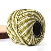 Section Dyed Cotton Knitting Yarn PW-WG4AE3B-04-1