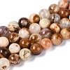 Natural Wood Lace Stone Wooden Jasper Beads Strands X-G-B128-A04-04-2