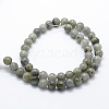 Natural Labradorite Beads Strands G-I199-15-12mm-2