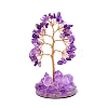 Natural Amethyst Display Decorations PW-WG5C4DA-09-1