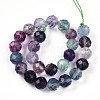 Natural Rainbow Fluorite Beads Strands G-S345-8mm-29-3