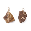 Raw Rough Gemstone Copper Wire Wrapped Pendants PALLOY-JF03028-2