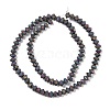 Electroplated Natural Lava Rock Beads Strands G-A234-F02-01E-2