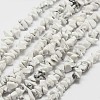 Natural Howlite Beads Strand X-G-F328-05-1