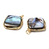 Natural Abalone Shell/Paua Shell Pendants KK-H445-02G-3