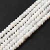 Natural Freshwater Shell Beads Strands BSHE-E026-15A-02-1