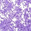 Imitation Cat Eyes Glass Seed Beads X1-SEED-H003-03F-3
