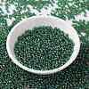 MIYUKI Round Rocailles Beads SEED-JP0009-RR0288-2