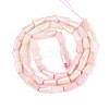 Anti-Tarnish Electroplate Glass Beads Strands GLAA-T025-27D-2