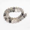 Natural Cloudy Quartz Beads Strands G-E376-8mm-01-3