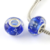 Glow In The Dark Handmade Luminous Style Lampwork Large Hole European Beads LPDL-R007-02B-1